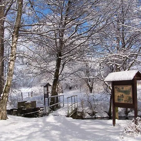 In Niedergurig Mit Grill, Sauna Und Garten Apartment *